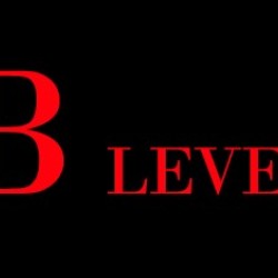 B level B level