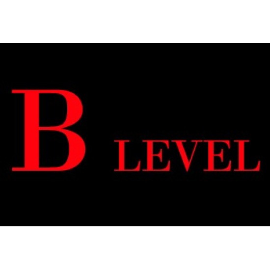 B Level Service